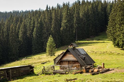 A beautiful landscape with a wooden building on the grassy hill surrounded by trees