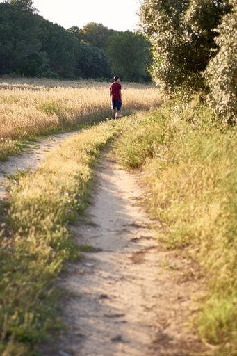 A vertical shot of a male walking through the path in the rural field in summer
