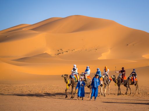 A camel caravan in the Sahara, Morocco