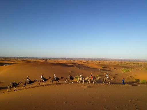 A camel caravan in the Sahara, Morocco