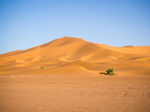The Sahara desert under the sunlight and a blue sky in Morocco in Africa