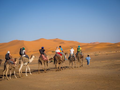 A camel caravan in the Sahara, Morocco