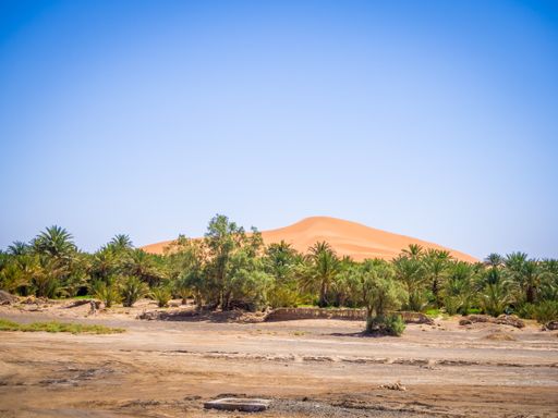 An oasis in the Sahara desert in Morocco during the daytime