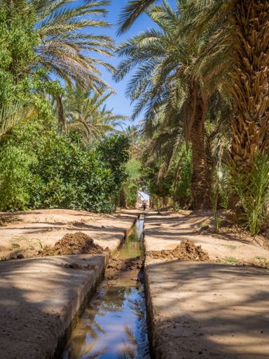 A vertical picture of an oasis in the Merzouga village in Sahara desert, Morocco