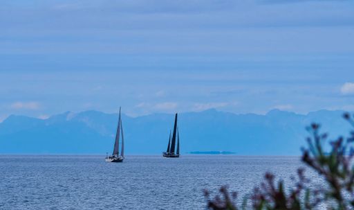 The sailboats float in the middle of a serene sea against a clear blue sky