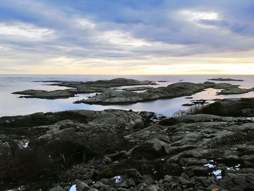 The sea surrounded by rocks covered in branches under a cloudy sky during the sunset in Norway