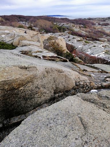 A vertical picture of rocks covered in mosses under a cloudy sky in Rakke in Norway