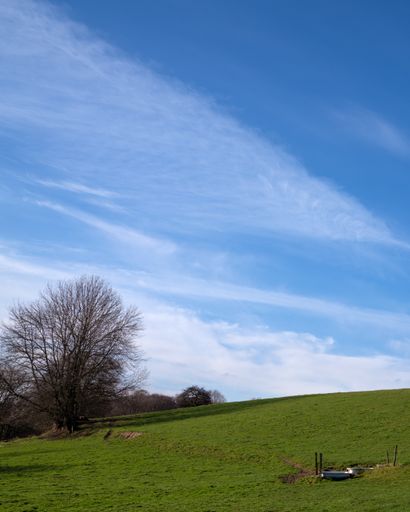 A vertical shot of a green field under a blue sky