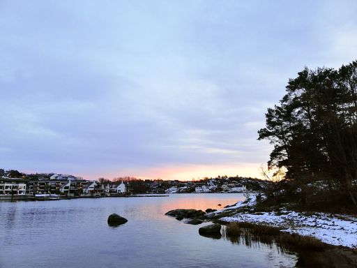 The sea surrounded by greenery and buildings under a cloudy sky during the sunset in Norway