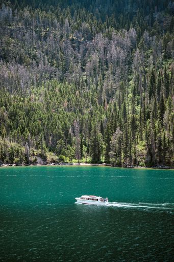 A vertical shot of a ship on a lake near mountains at the Glacier national park, USA