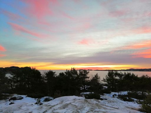 A field covered in greenery and snow surrounded by the water under a cloudy sky during the sunset