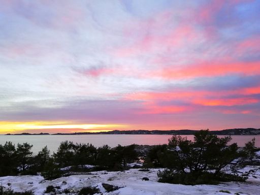 A field covered in greenery and snow surrounded by the water under a cloudy sky during the sunset