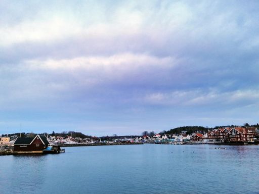 The sea surrounded by houses and greenery under the sunlight during the evening in Norway