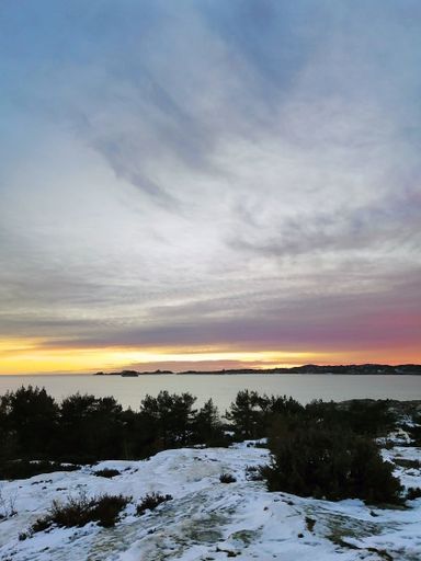A vertical of rocks covered in the snow and plants surrounded by the sea during the sunset in Norway