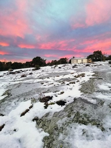A field covered in the snow surrounded by trees under a cloudy sky during the sunset in Norway