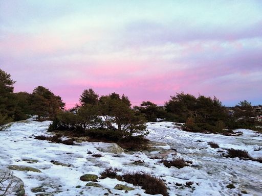 A field covered in the snow surrounded by trees under a cloudy sky during the sunset in Norway