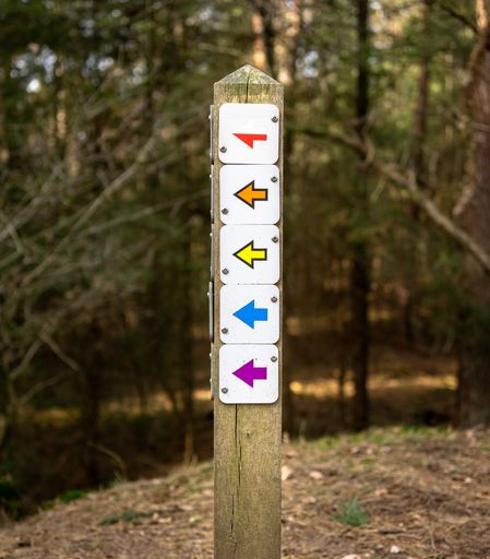 A vertical shot of a wooden sign with colorful arrows