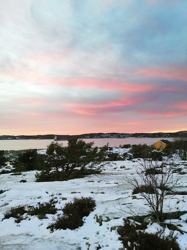 A field covered in the snow surrounded by trees under a cloudy sky during the sunset in Norway