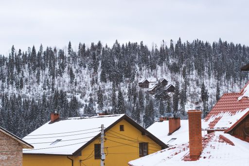A high angle shot of the roofs of the houses with chimneys and the snowy forest in the background