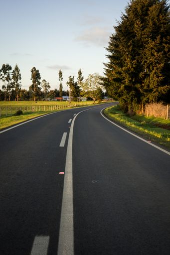 A vertical shot of an asphalt road with green field and trees under the clear sky