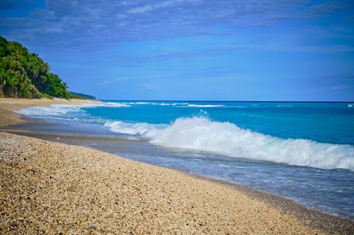 An island with clear blue ocean, sand and lush greenery