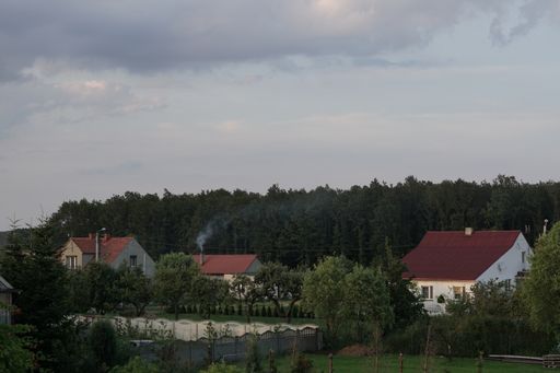 A landscape of a village surrounded by trees and bushes under a cloudy sky