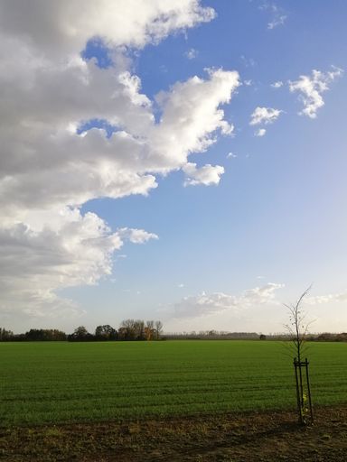 A vertical picture of a field surrounded by buildings under a cloudy sky in Stargard in Poland
