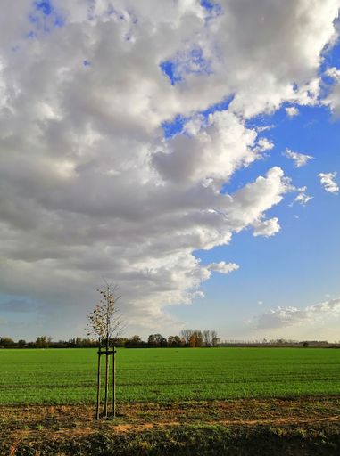 A vertical picture of a field surrounded by buildings under a cloudy sky in Stargard in Poland