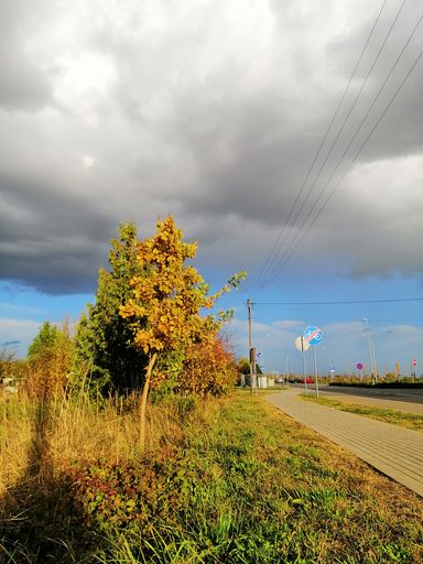 A vertical picture pf a sidewalk surrounded by a field under a cloudy sky during the autumn in Poland