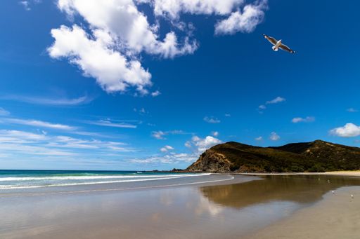 A beautiful view of Spirits Bay near Cape Reinga in New Zealand during daylight