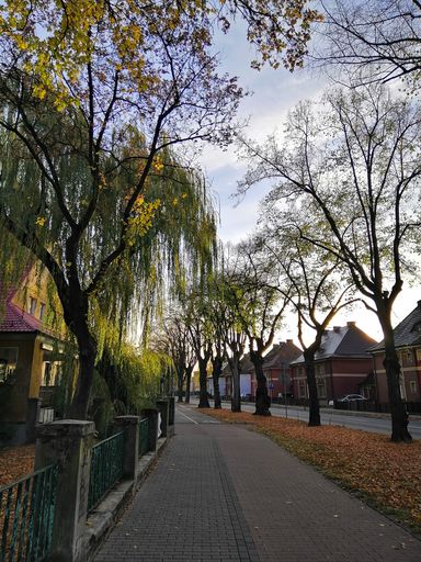A sidewalk surrounded by buildings and greenery under a cloudy sky in Stargard in Poland