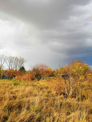 A vertical picture of a meadow under a cloudy sky during the autumn in Poland