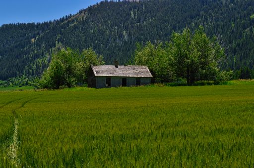 A scenic view of a house in the middle of a green field in a countryside