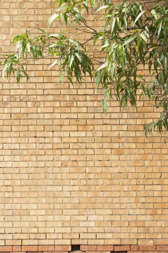 A vertical shot of a brick wall with some leaves of a tree