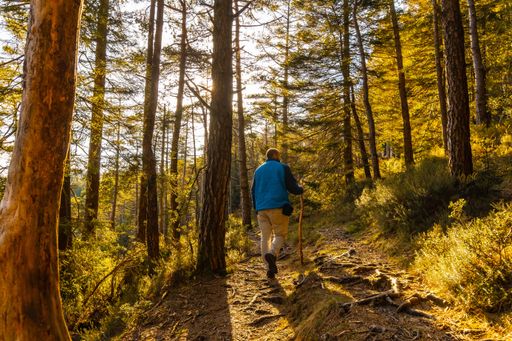 A shallow focus of a male hiking through the Artikutza forest in autumn in Oiartzun, Spain