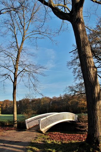 A vertical shot of a small bridge in a park in Ambt Delden, The Netherlands