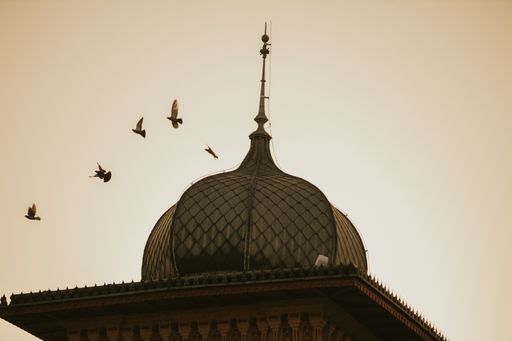 A vertical shot of birds flying over the dome in the sky background