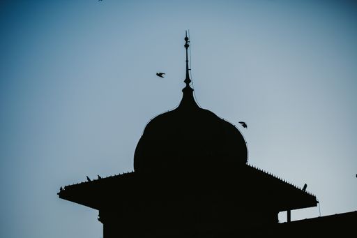 A vertical shot of birds flying over the dome in the night sky background
