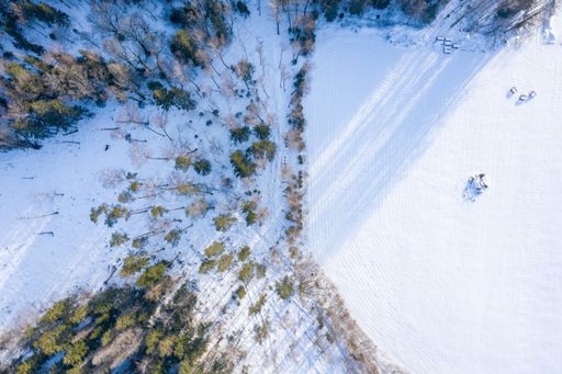 An aerial shot of a forest covered in trees and snow under the sunlight in Latvia