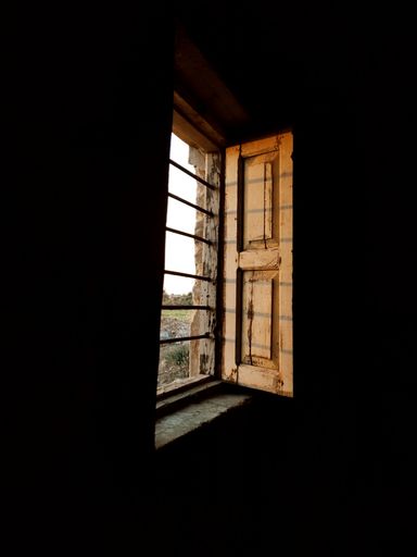 A vertical shot of an old open door on dark background