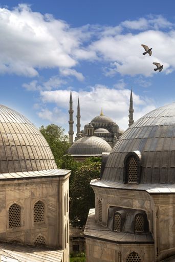 A vertical shot of a lovely Istanbul mosque, with a dome roof, and a beautiful cloudy sky with birds.