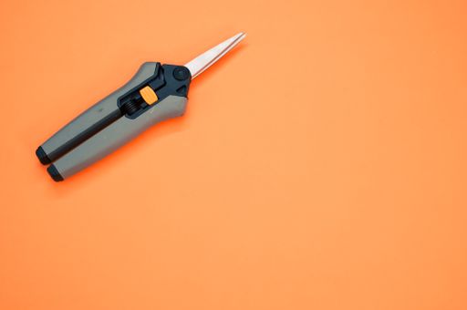 A high angle shot of small pruners isolated on an orange background