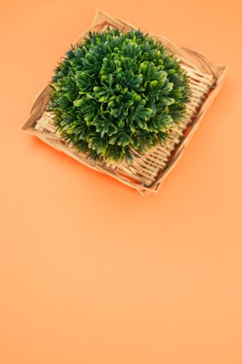 A vertical shot of a basket with a small potted tree on an orange surface