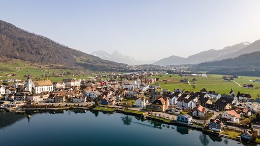 A high angle shot of the small village, Arth in Switzerland by lake Zug during the daytime