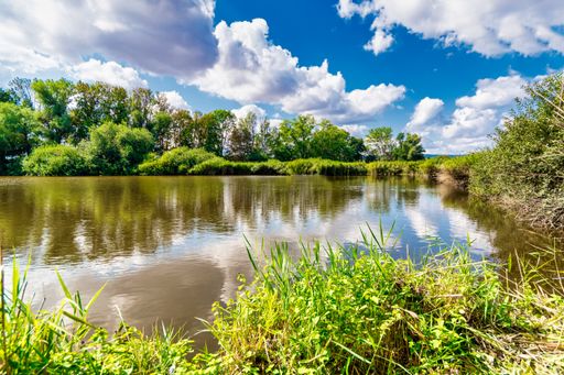A tranquil lake surrounded by trees and greenery under a cloudy sky