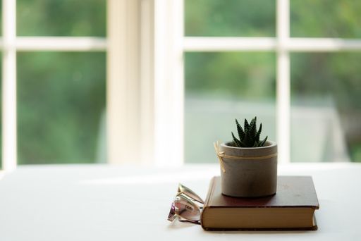 A selective focus shot of a Succulent plant in a ceramic pot that is on a book on a white windowsill surface with sunglasses on the side