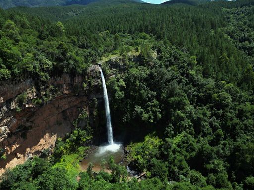 An aerial shot of the Lonecreek falls waterfall surrounded by green forest in Sabie, South Africa.