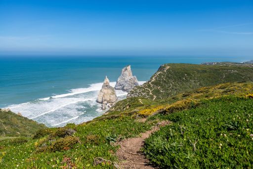 The sea surrounded by rocks covered in greenery under the sunlight in Sintra-Cascais Natural Park