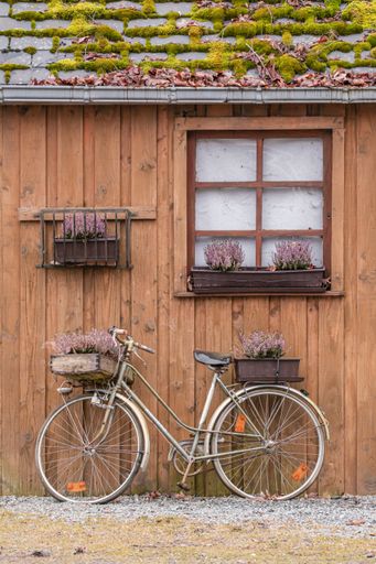 A vertical shot of a woodhouse and bicycle in front of it