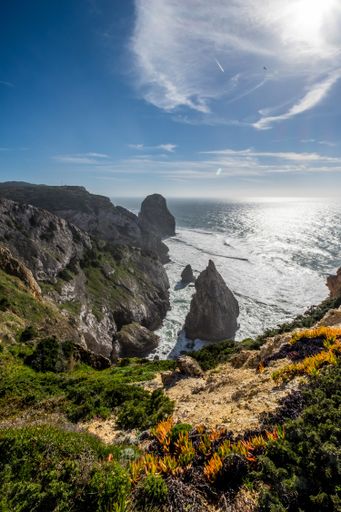 A vertical picture of rocks covered in greenery surrounded by the sea under the sunlight